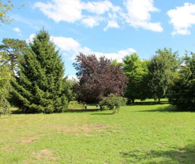 parc arboré du Château de Charmes